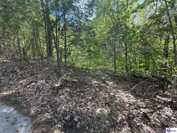 1 Bunnell Crossing Rd, Munfordville, KY 42765