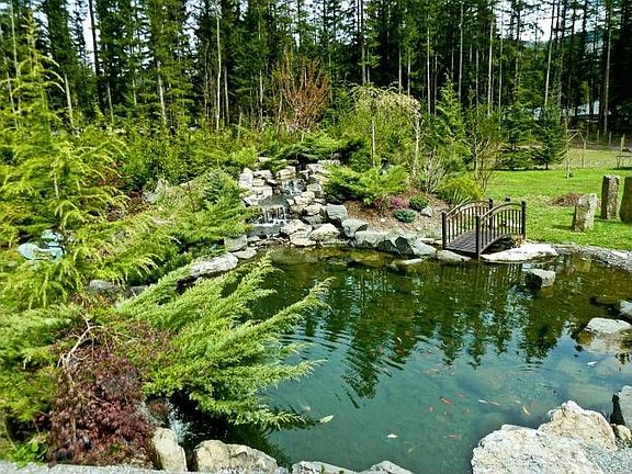 Koi Pond with waterfall