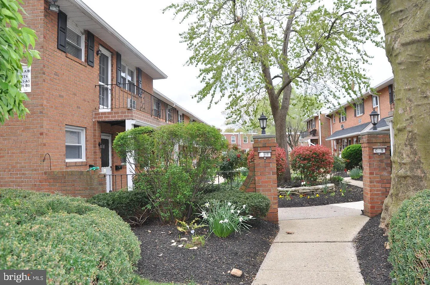 2 bed, 1.0 bath, 918 sqft, $2,000 — Photo 3