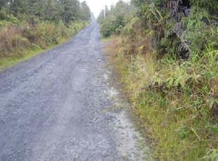 Ohialani LOT 6, Mountain View, HI 96771