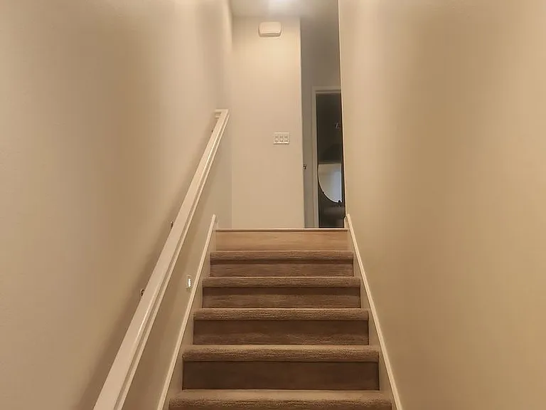 6386 Pegasus Ct — Photo 22
