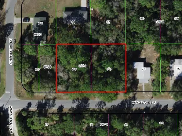 7325 W Village Drive, Homosassa, FL 34446