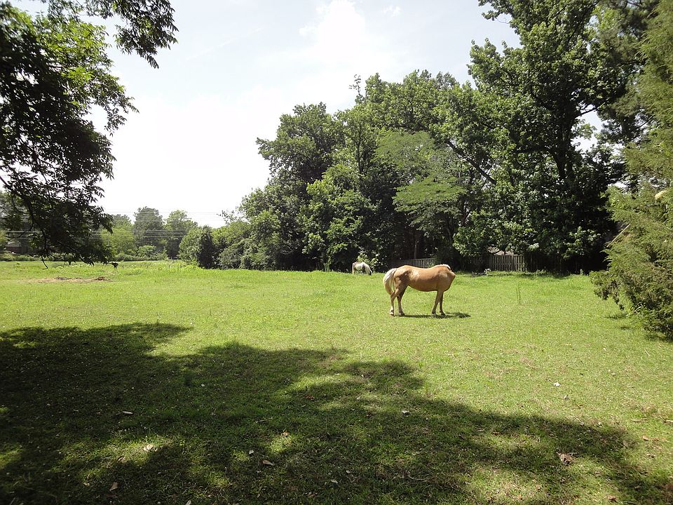 Pasture