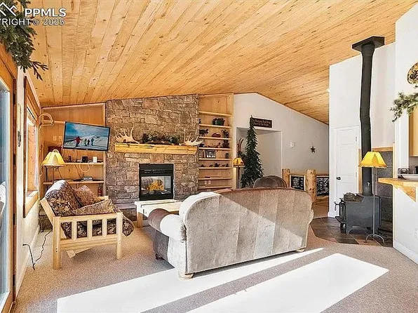 36 Isabelle Ct, Fairplay, CO 80440