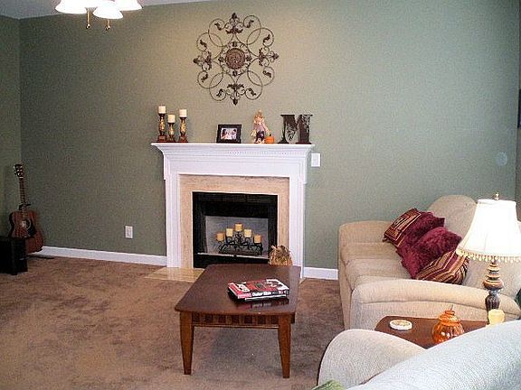 Woodburning Fireplace