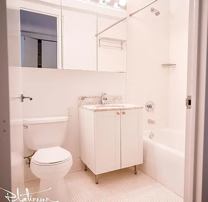 Rented by Platinum Properties | media 4