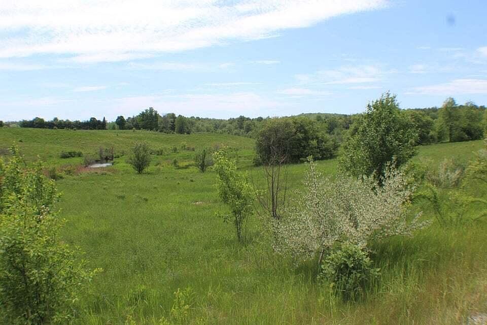 2nd image of 8A Tysons Way