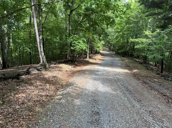 Black Dog Trl, Blue Ridge, GA 30513