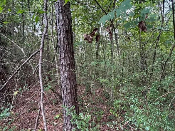 0 Cornerstone Rd, Hattiesburg, MS 39402