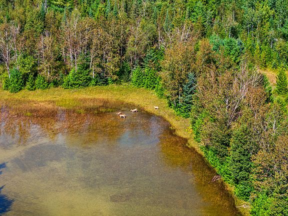 5th image of 3266 Long Rapids Rd