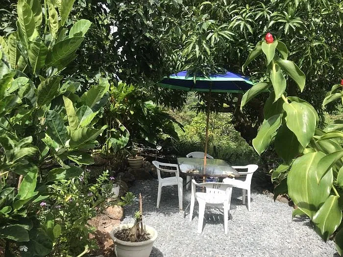 Botanical garden