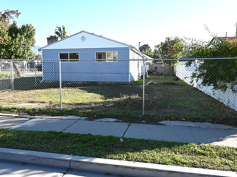Back and side yard view