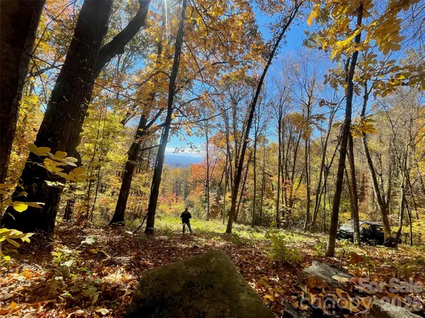 0 New Sprout Ln Lot 1, Hendersonville, NC 28792