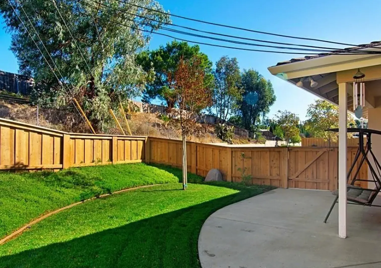 Vineyard Road — Photo 2