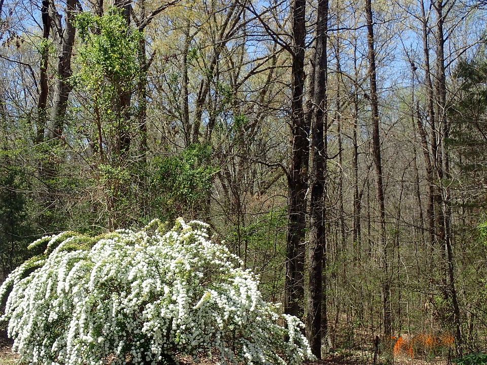 1st image of 425 Hickory Woods Ln