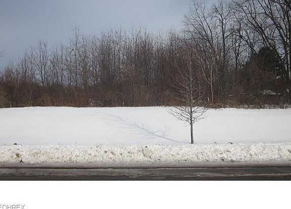 3rd image of 1244 Wellingshire Cir