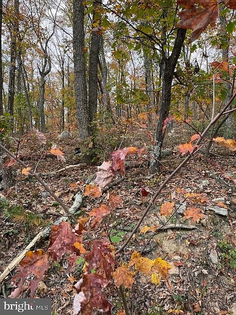1st image of 171 Fire Tower Trl