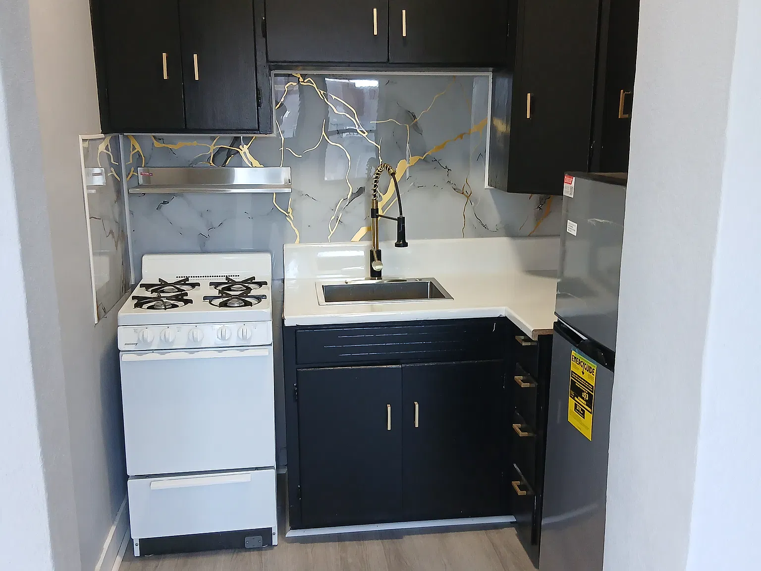 1 bed, 450 sqft, $750 — Photo 3
