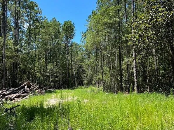 Oil Well Rd, Folsom, LA 70437