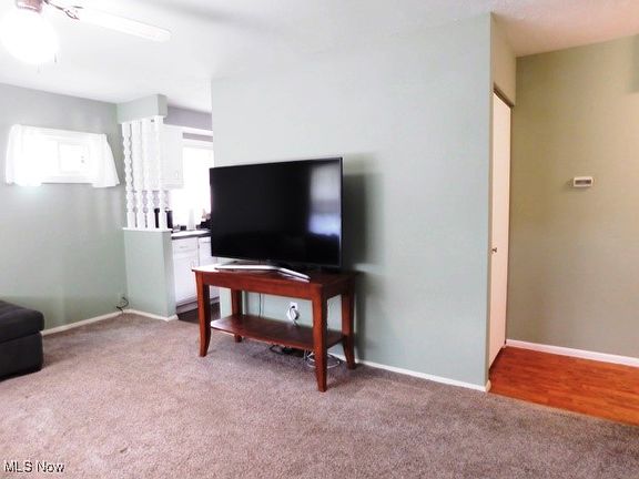 3rd image of 521 Holly Dr