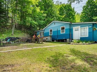 52994 Turtle Lake View Rd, Bigfork, MN 56628