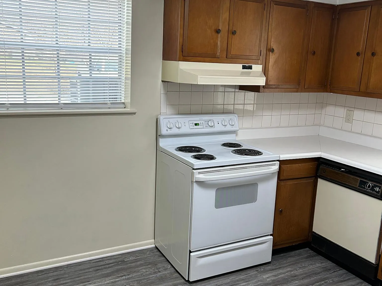 1 bed, 550 sqft, $800 — Photo 4