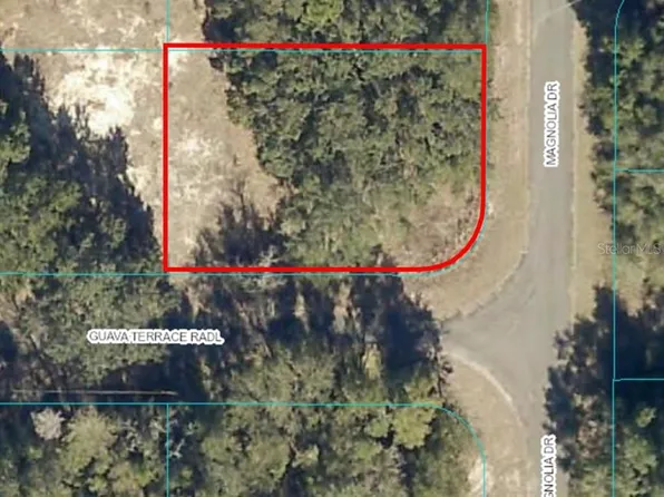10 Magnolia Dr Lot 10, Ocklawaha, FL 32179