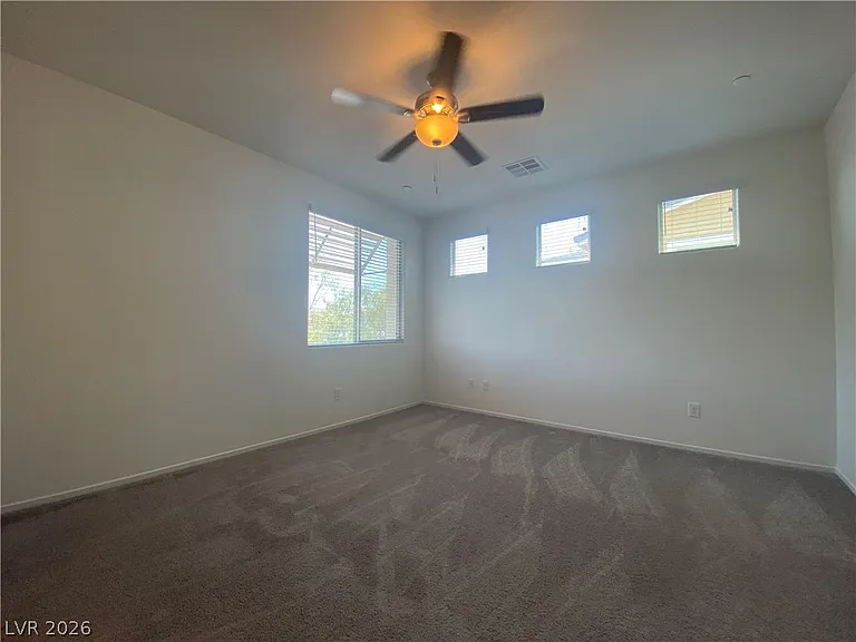 436 Cadence View Way — Photo 19