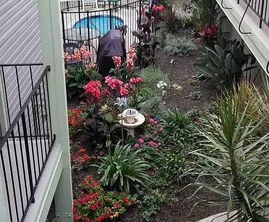 3rd image of 225 Redwood St APT 22