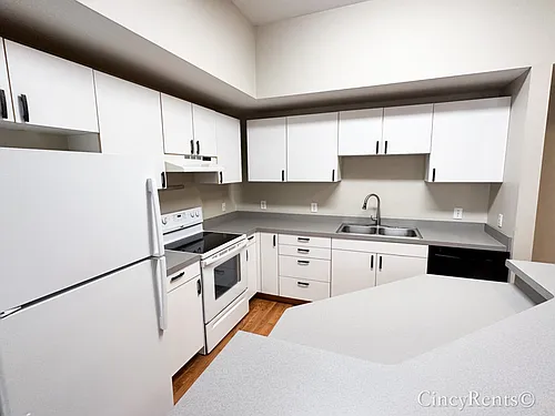 411 Clark Street 4 - 1bd 1ba with parking - walk to FC Soccer Stadium - Downtown Cincinnati. Avai... — Photo 4