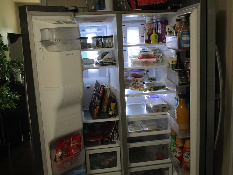 premium frig with ice-maker