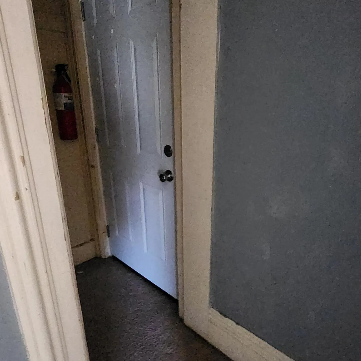 Studio, $600 — Photo 2