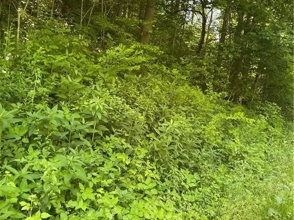 Vanfossen Hollow Rd, Lower Salem, OH 45745