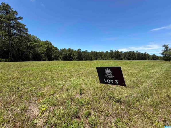 3 Cedar Springs Dr, Jacksonville, AL 36265