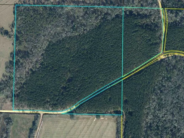 Kirkland Rd, Graceville, FL 32440