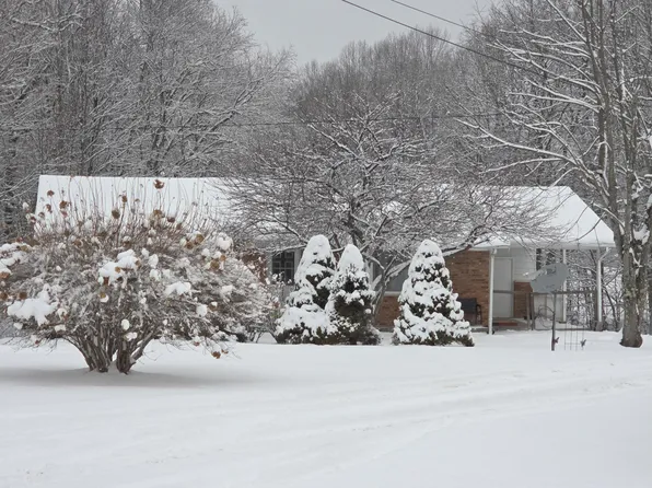 120 Kyle Subdivision Dr, Nettie, WV 26681