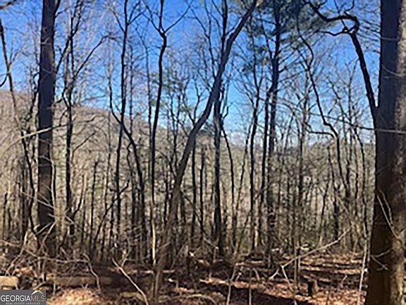 5th image of 14 Butler Creek Rd