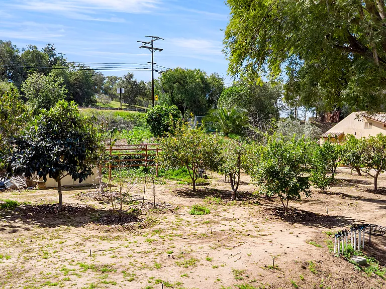1315 Macadamia Dr — Photo 6