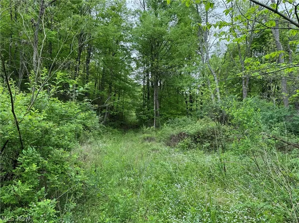 Azalea Rd SW, Leesville, OH 44639