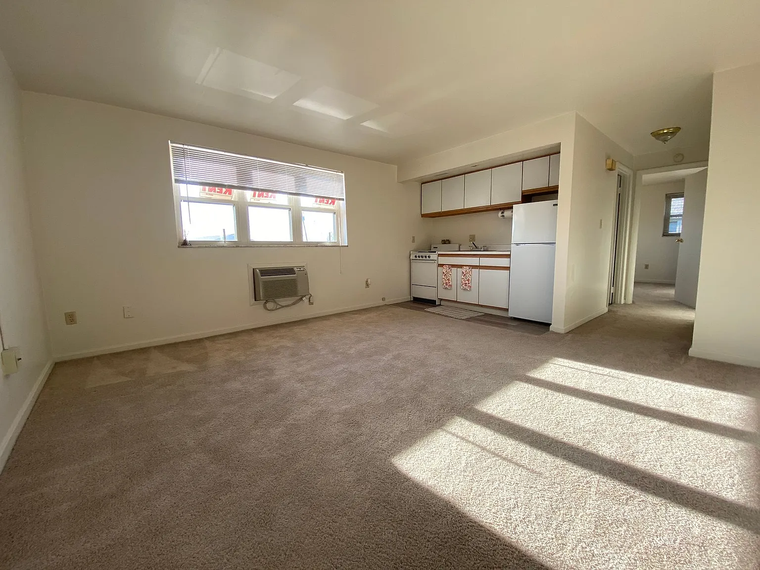 Laurel — Photo 2