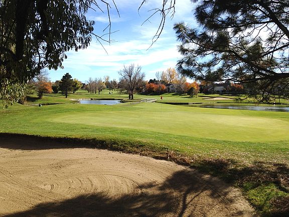 Green Summer Fairway