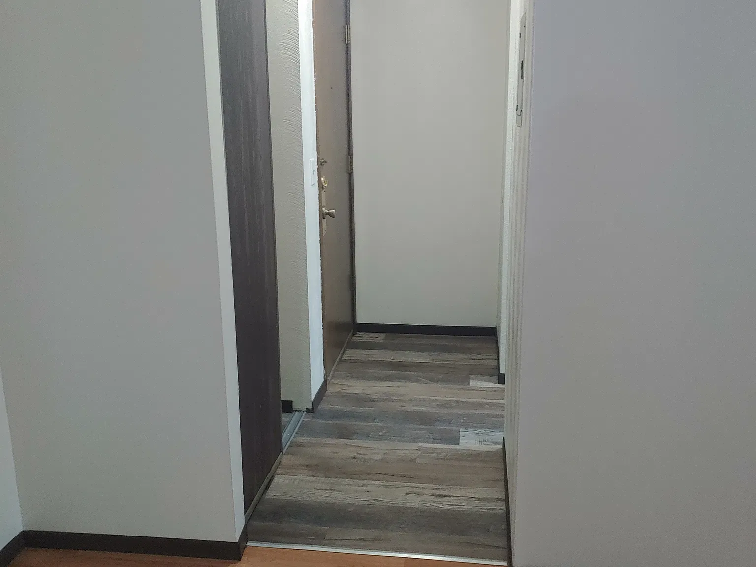 1 bed, 725 sqft, $1,225 — Photo 2
