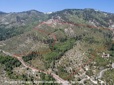 7805 Musgrove Creek Dr, Washoe Valley, NV, 89704