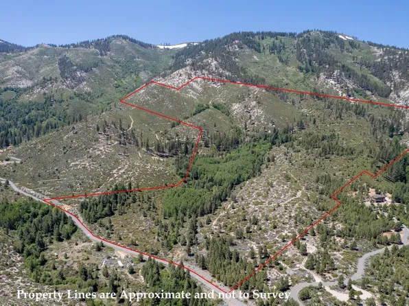 7805 Musgrove Creek Dr, Washoe Valley, NV 89704
