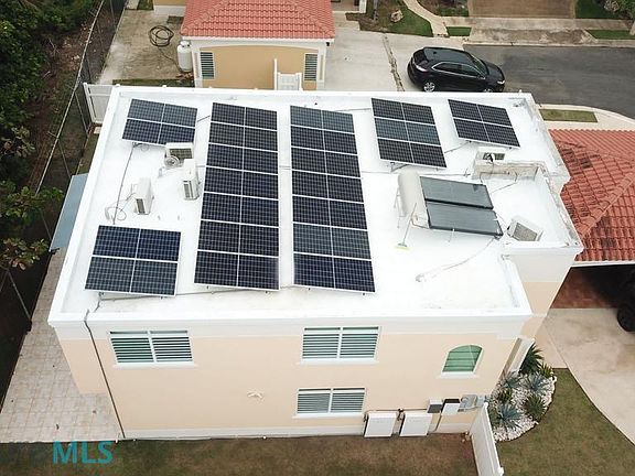2nd image of 16 Ceiba