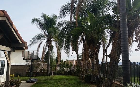 4th image of 2289 Avenida Las Ramblas