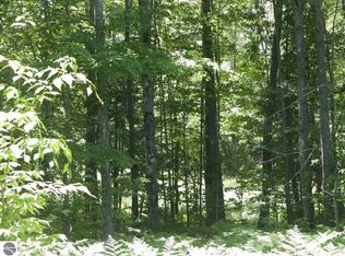 0 220th Ave, Leroy, MI 49655