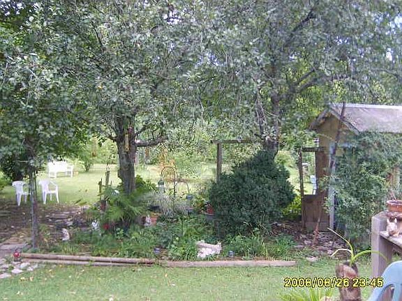 Back yard full of annuals