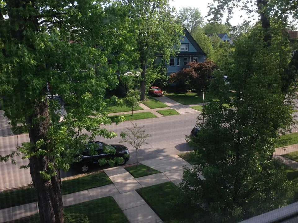 View from front window