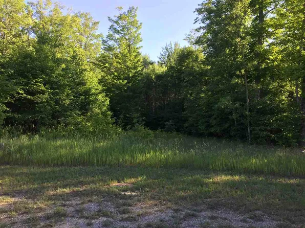 8180 Bluebird Ln, Alanson, MI 49706